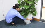 Công ty Cleanhouse luôn cam kết  dịch vụ vệ sinh văn phòng là tốt nhất