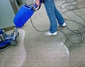 Cách giặt thảm trải sàn tại nhà hiệu quả