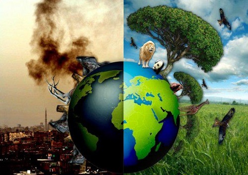 Ô nhiễm môi trường là do ai 