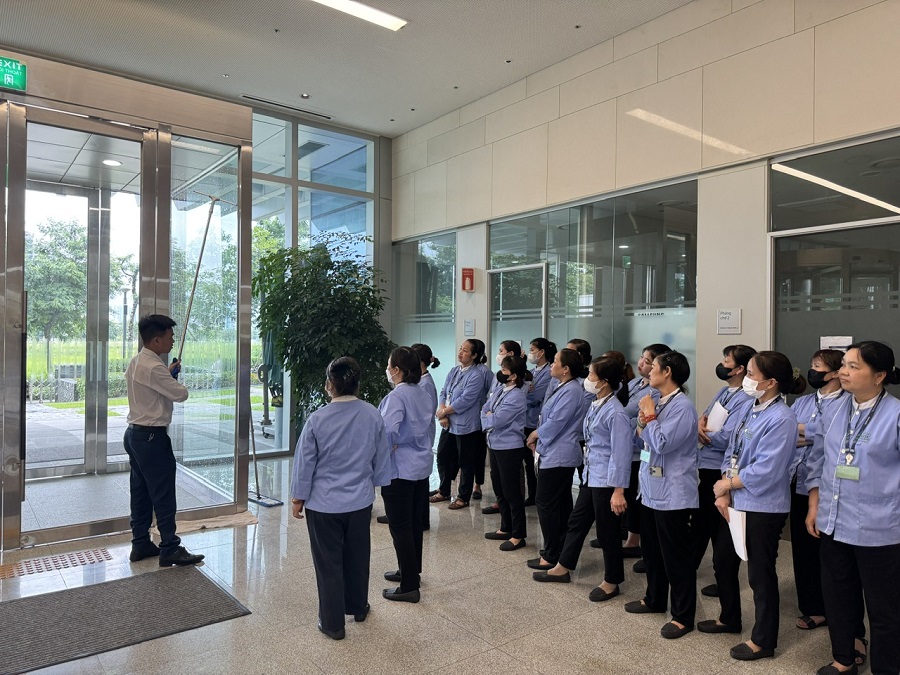 Quy Trình Làm Việc Chuyên Nghiệp Tại Cleanhouse – Chuẩn Hóa, Hiệu Quả, Minh Bạch