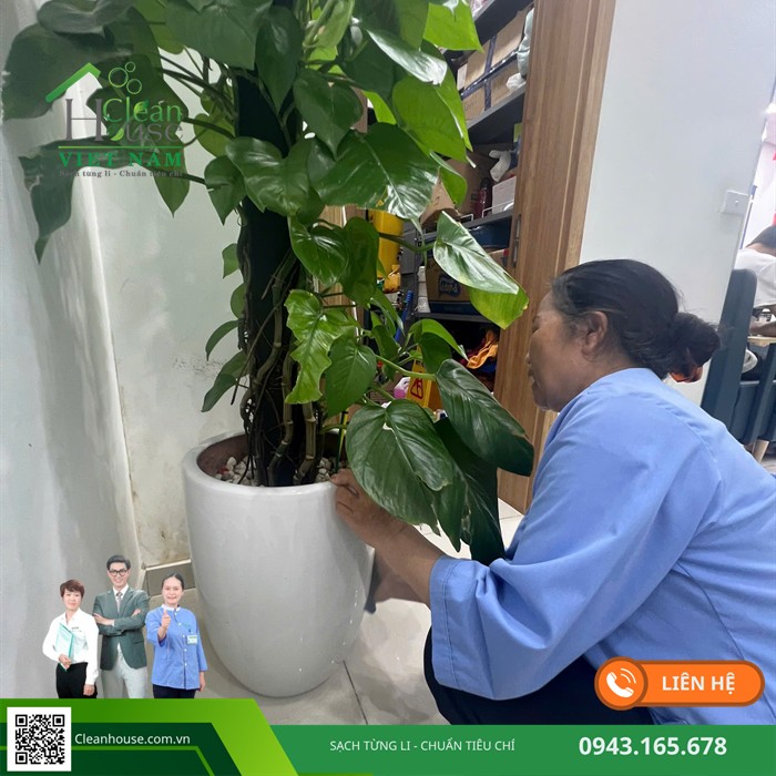 Nhân viên Cleanhouse làm việc